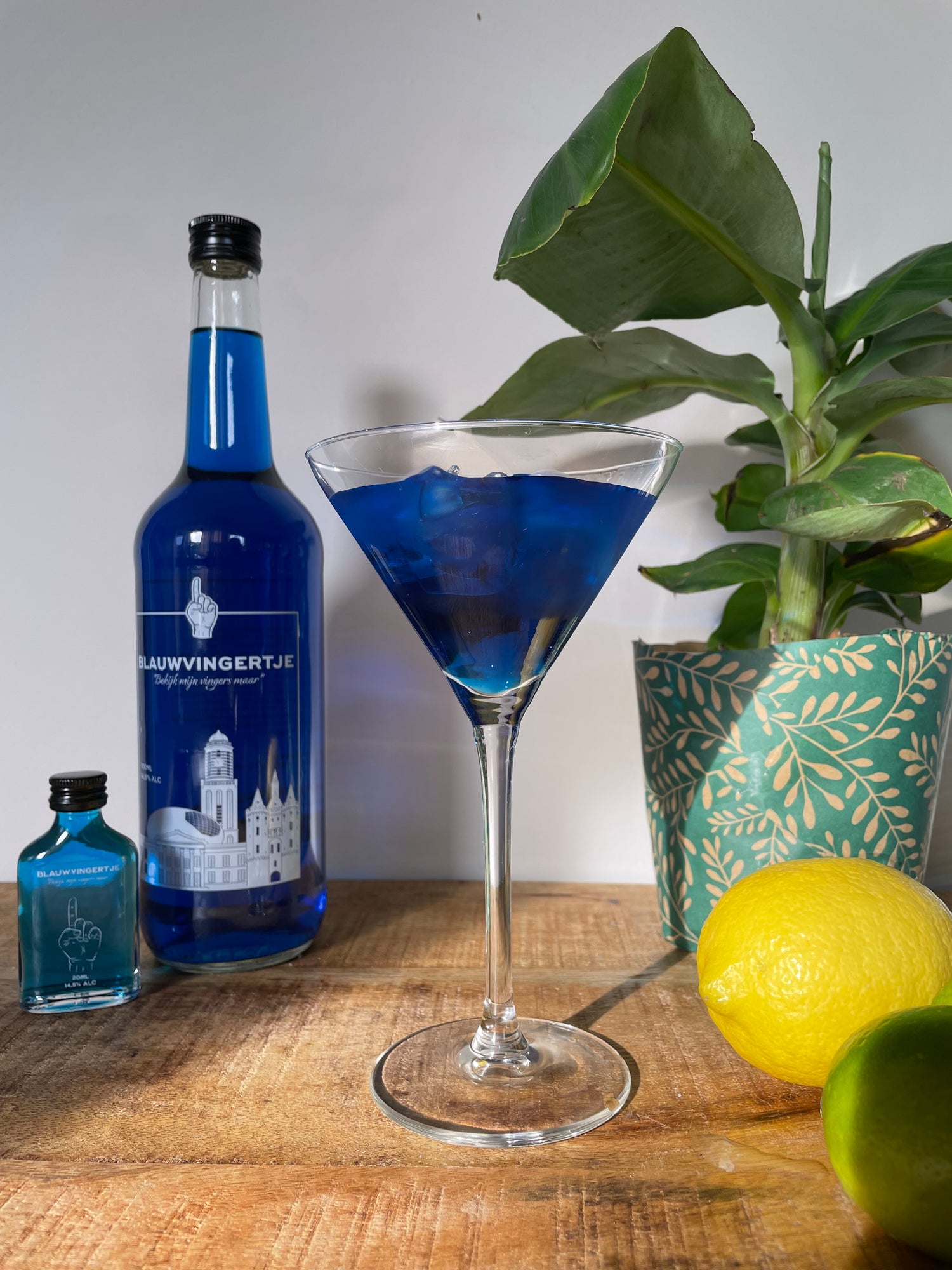 Blauwvingertje On The Rocks